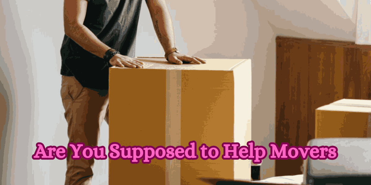 Are You Supposed to Help Movers
