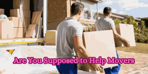 Are You Supposed to Help Movers