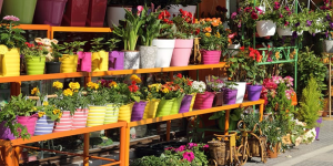 Home Garden Store